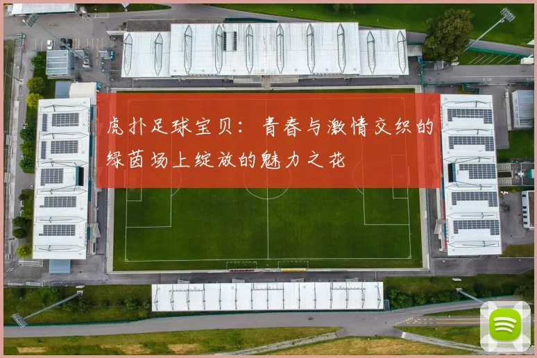 虎扑足球宝贝：青春与激情交织的绿茵场上绽放的魅力之花