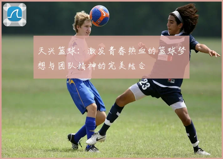 天兴篮球：激发青春热血的篮球梦想与团队精神的完美结合