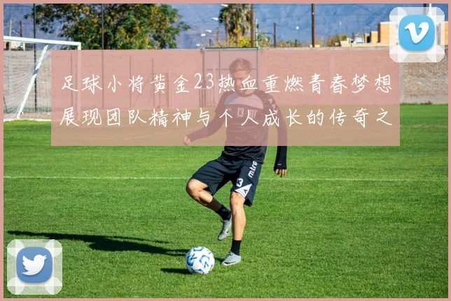 足球小将黄金23热血重燃青春梦想展现团队精神与个人成长的传奇之旅