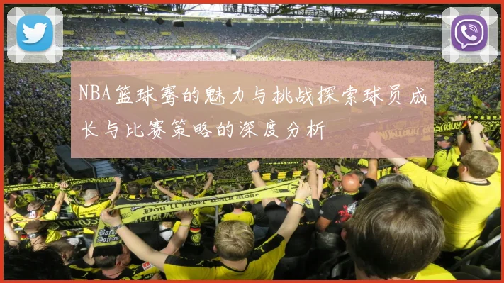 NBA篮球骞的魅力与挑战探索球员成长与比赛策略的深度分析